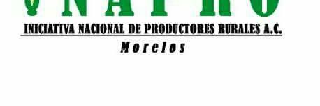 InaproMorelos's profile banner image