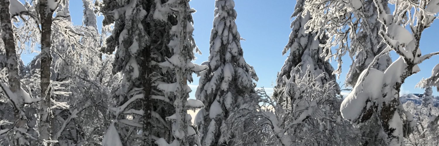 Jennifer Thorne banner