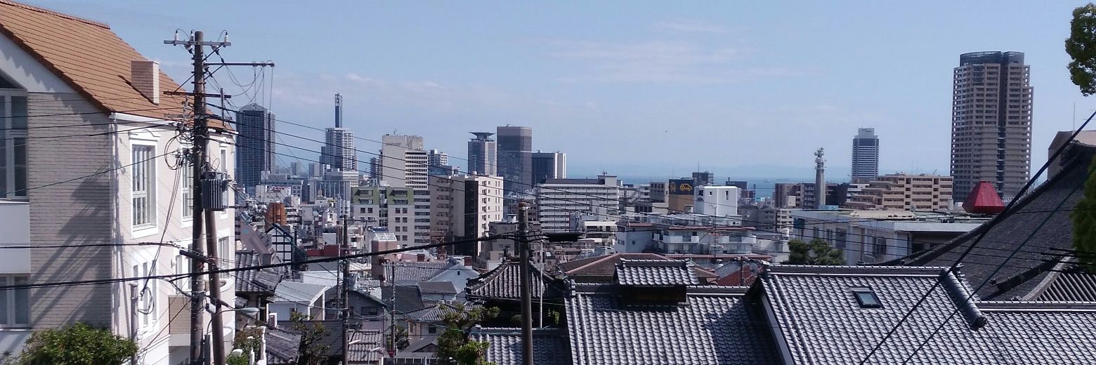 吟味するスタンス(月曜日から国民を守る党)'s banner