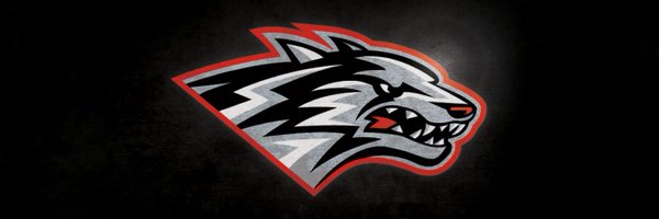 UNMSAAC Profile Banner