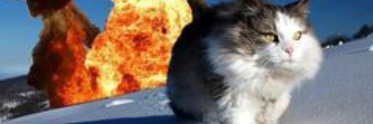 brienwho's profile banner image