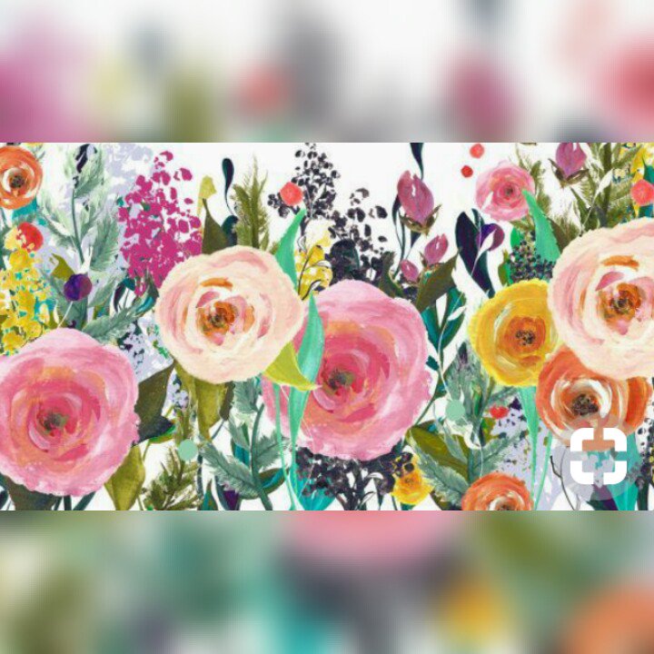 __Soph_x's profile banner image
