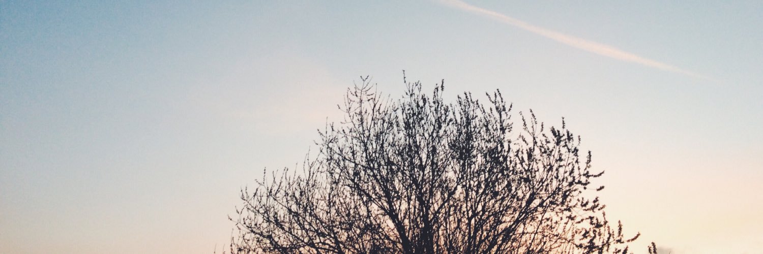 LoganLey7's profile banner image