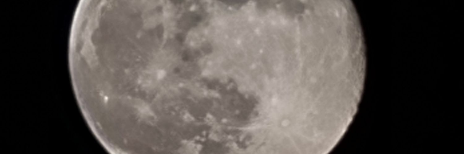 Thomas FELLOWES 🏴‍☠️ banner