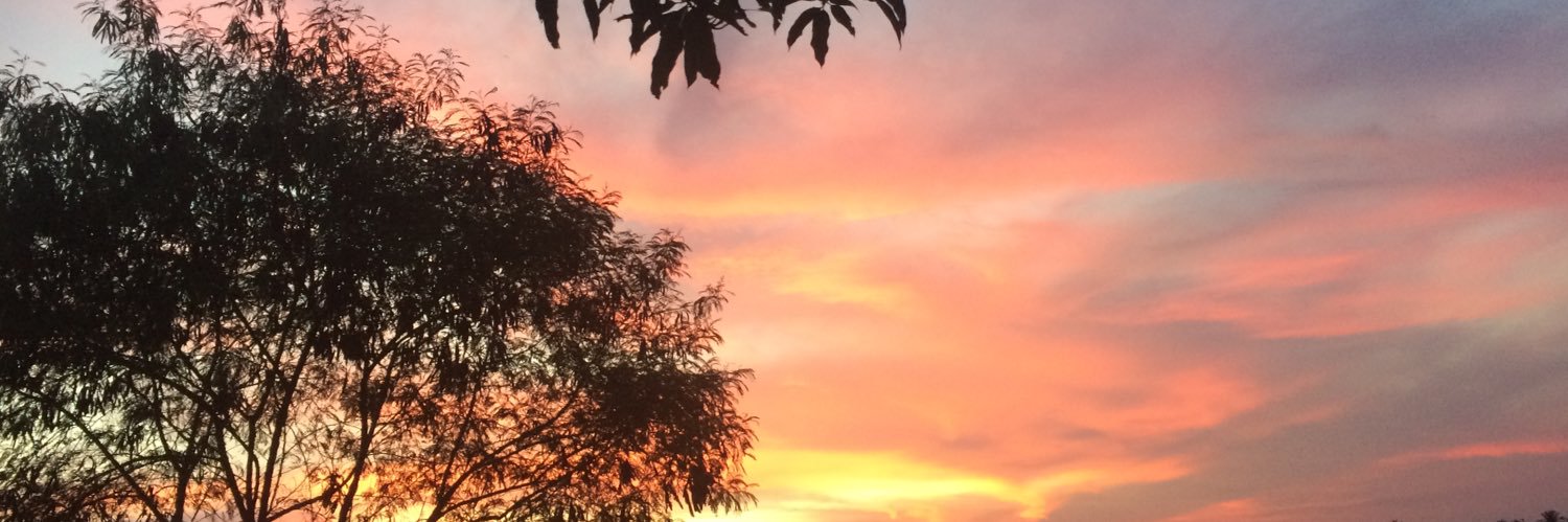 PepayPepot's profile banner image