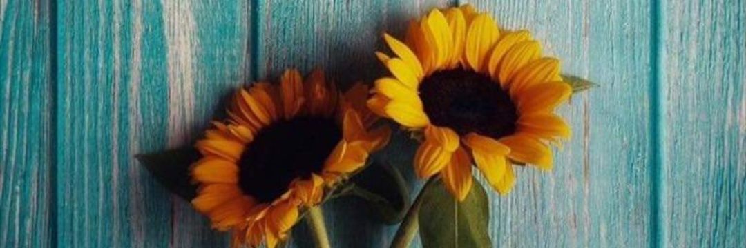 DanielaCannela's profile banner image