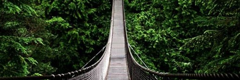 Preda banner