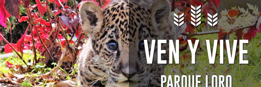 ZooParqueLoro's profile banner image