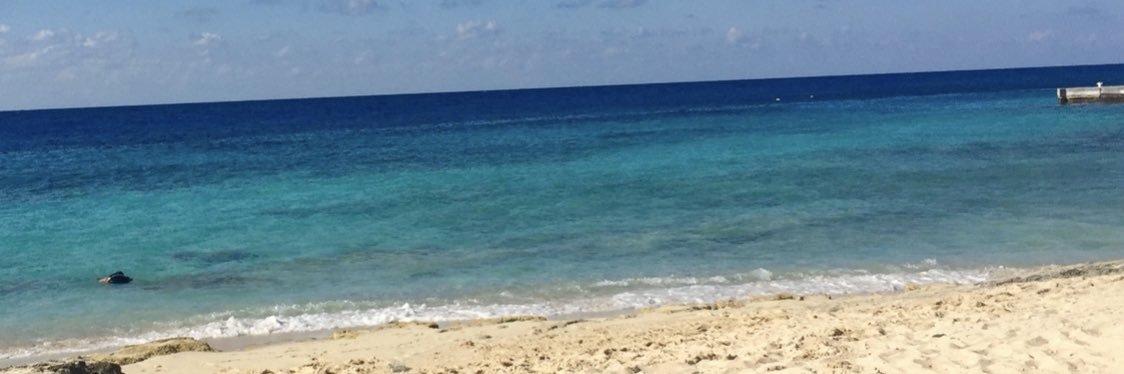 Rhoda_Morin's profile banner image