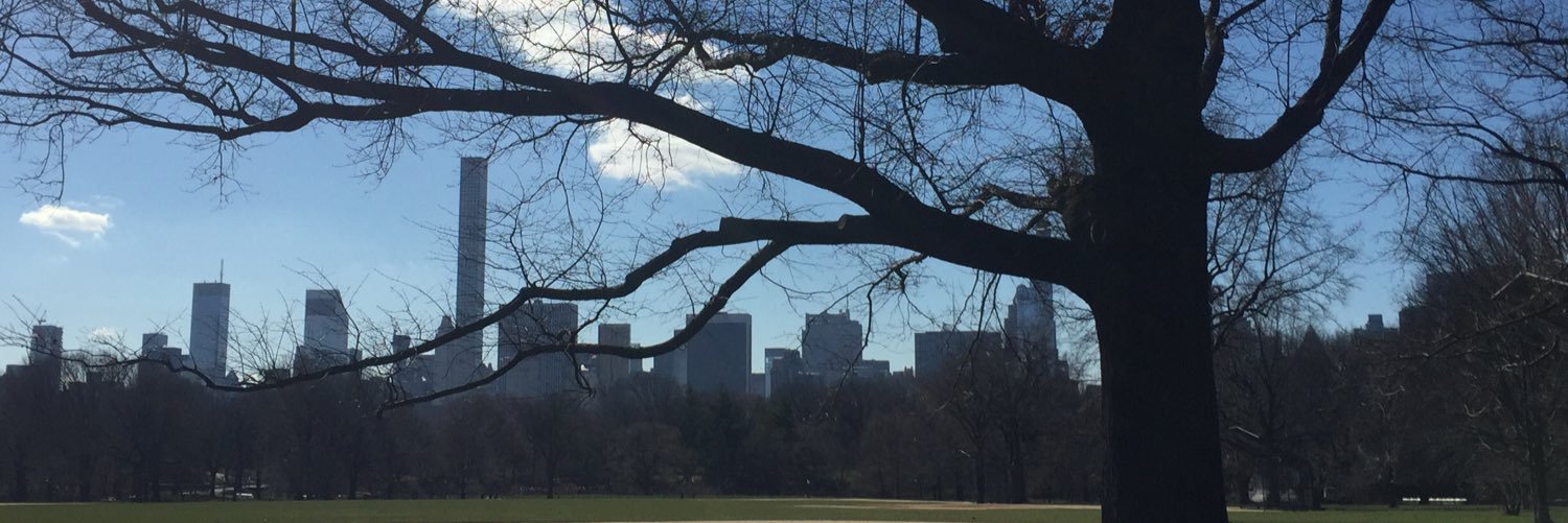 Pija Kapitanovic banner