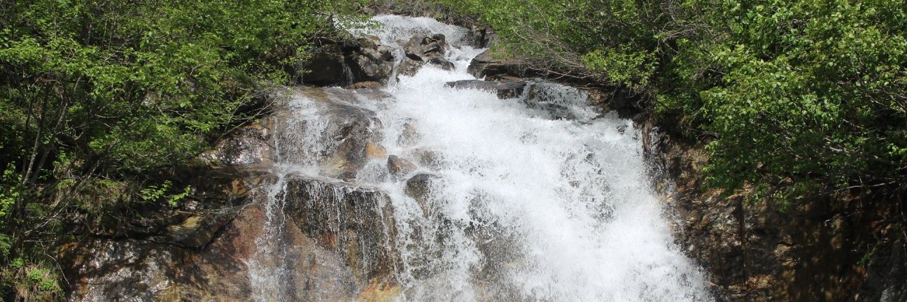 Lesley Singer banner