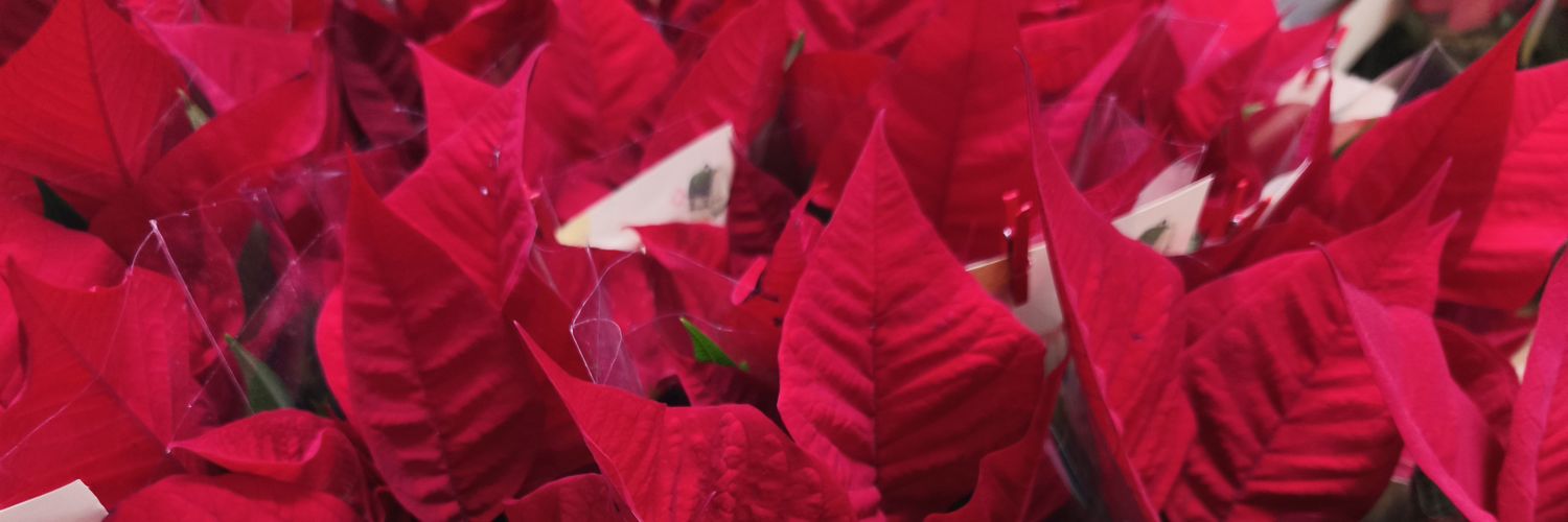 edufiteo's profile banner image