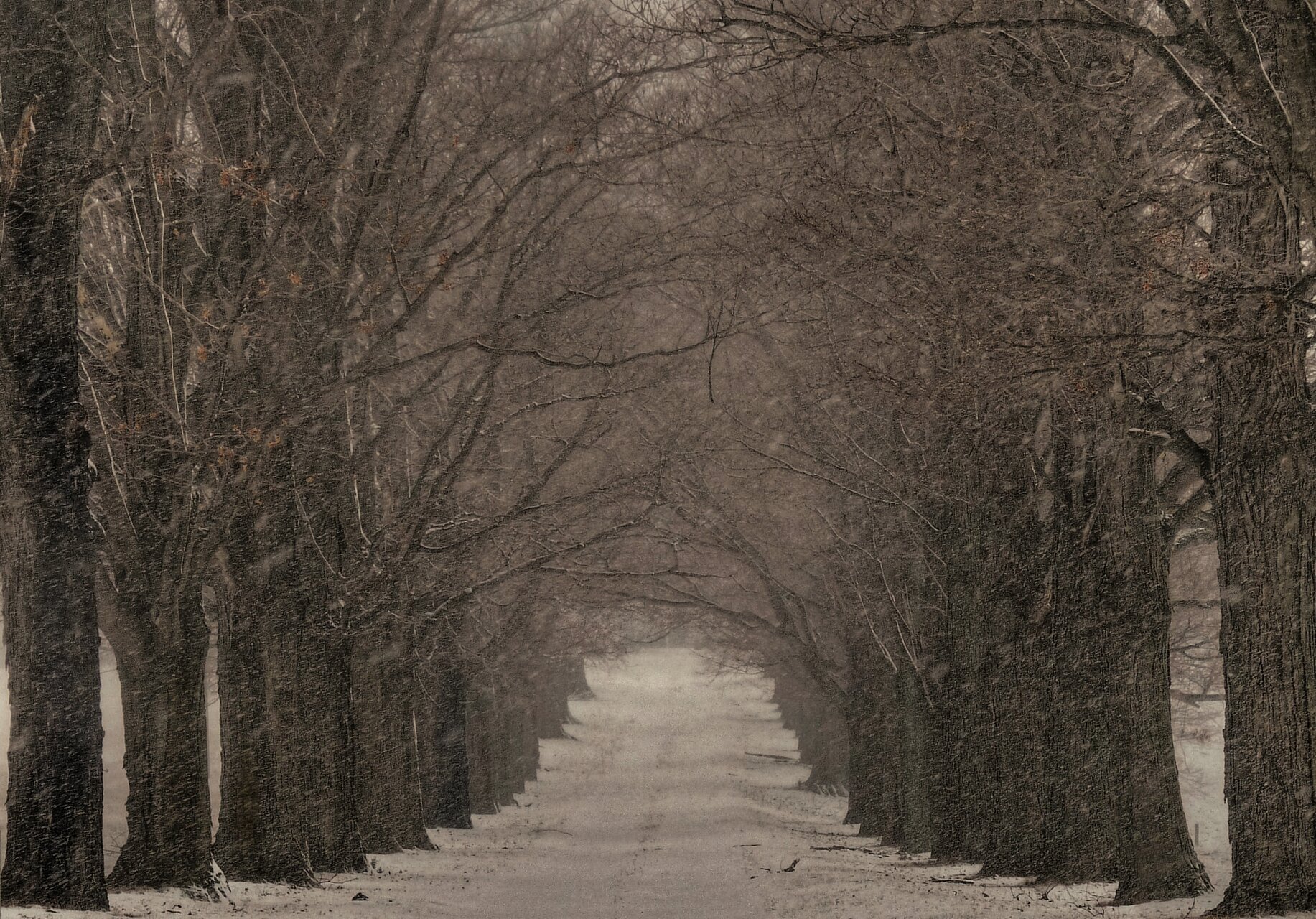 legna_an banner