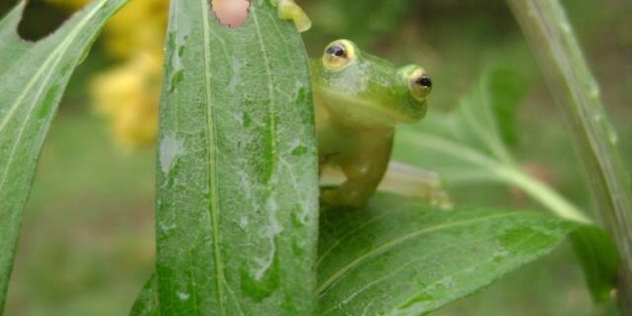 Daphki's profile banner image