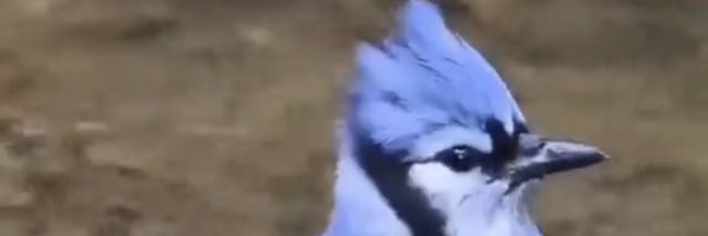 7Phyllo13's profile banner image