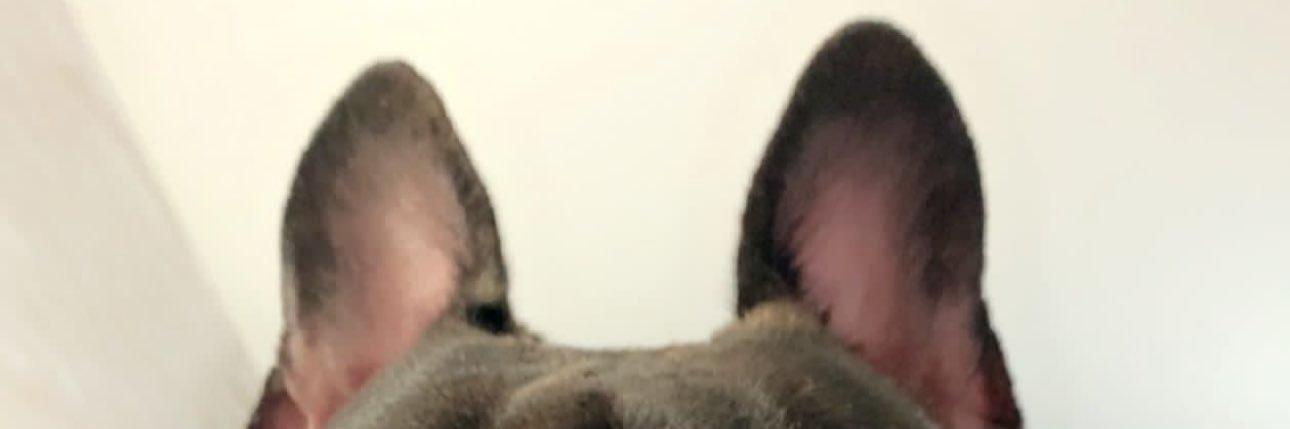 A_LLIIEx0's profile banner image
