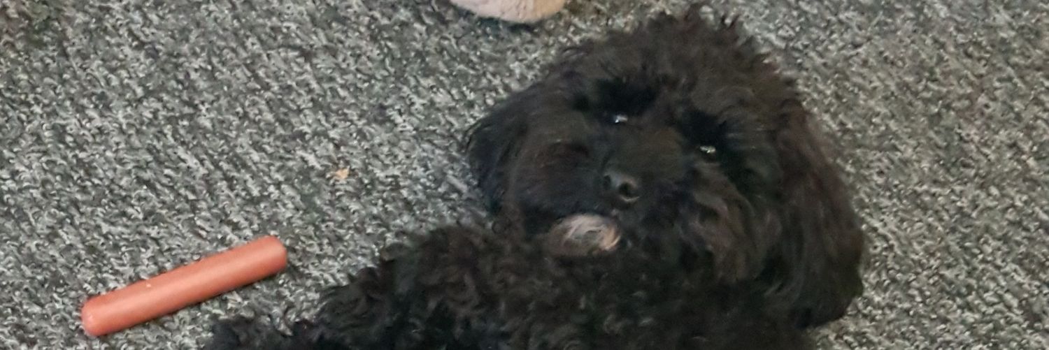 AaronCox137's profile banner image