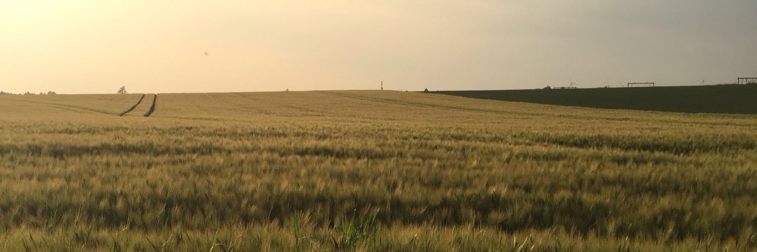 luciedequiedt.bsky.social's banner