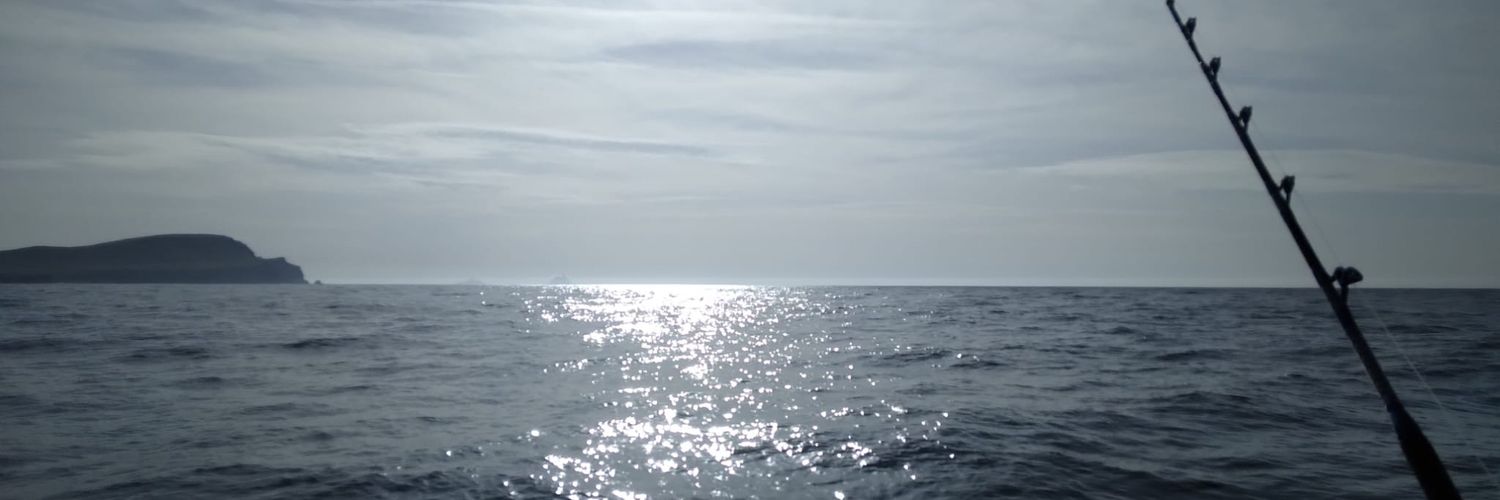 Kathy Bradley banner