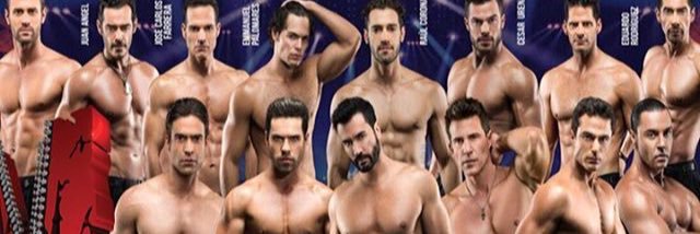 Juan Vidal Fansite banner