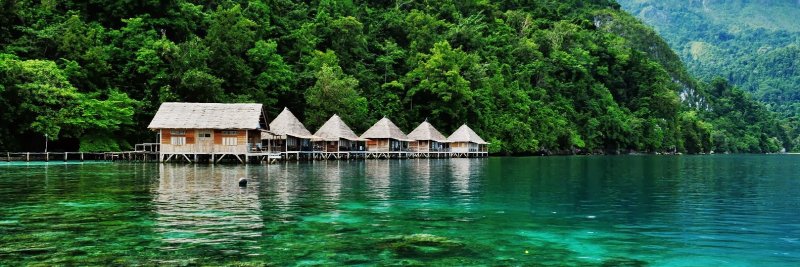 PSIMALUKU's profile banner image