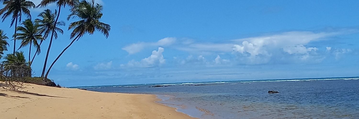 JUKNUNES's profile banner image