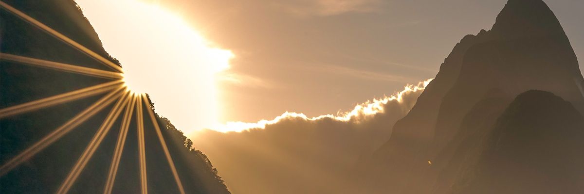 NizBus's profile banner image