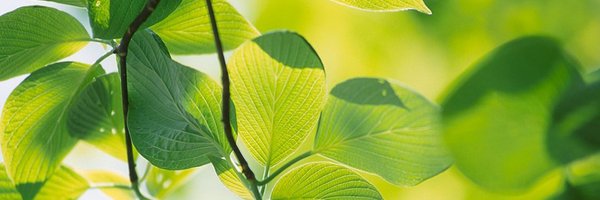 LabPlantEcology Profile Banner