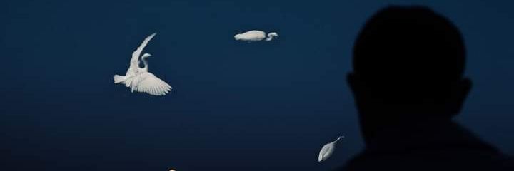 نَبِيلّ banner