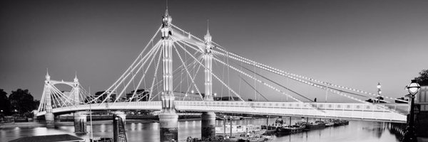 AlbertBridgeCap Profile Banner