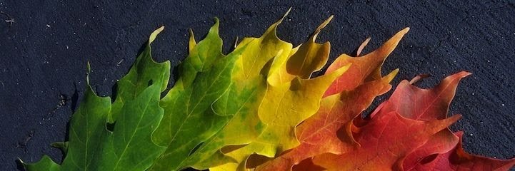 soranzrr's profile banner image