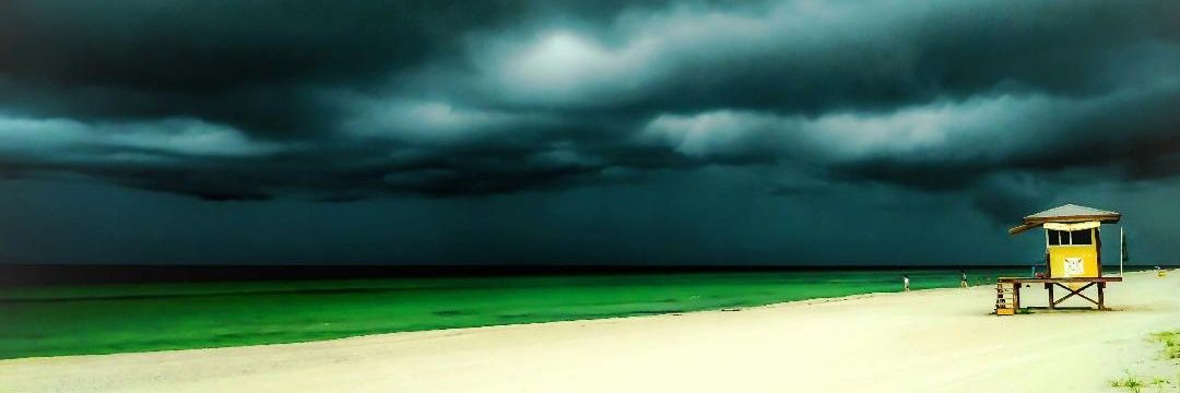 Lisa Larson 🌻 banner