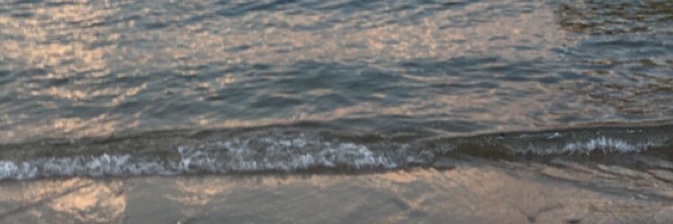 morganbartkows1's profile banner image