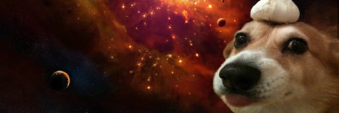 Traxes banner