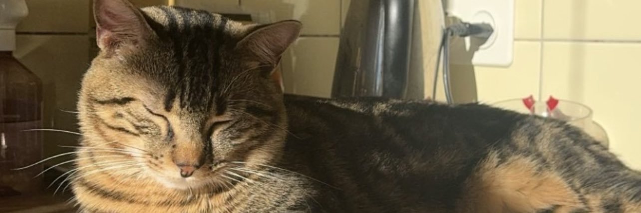 nickifeenty's profile banner image