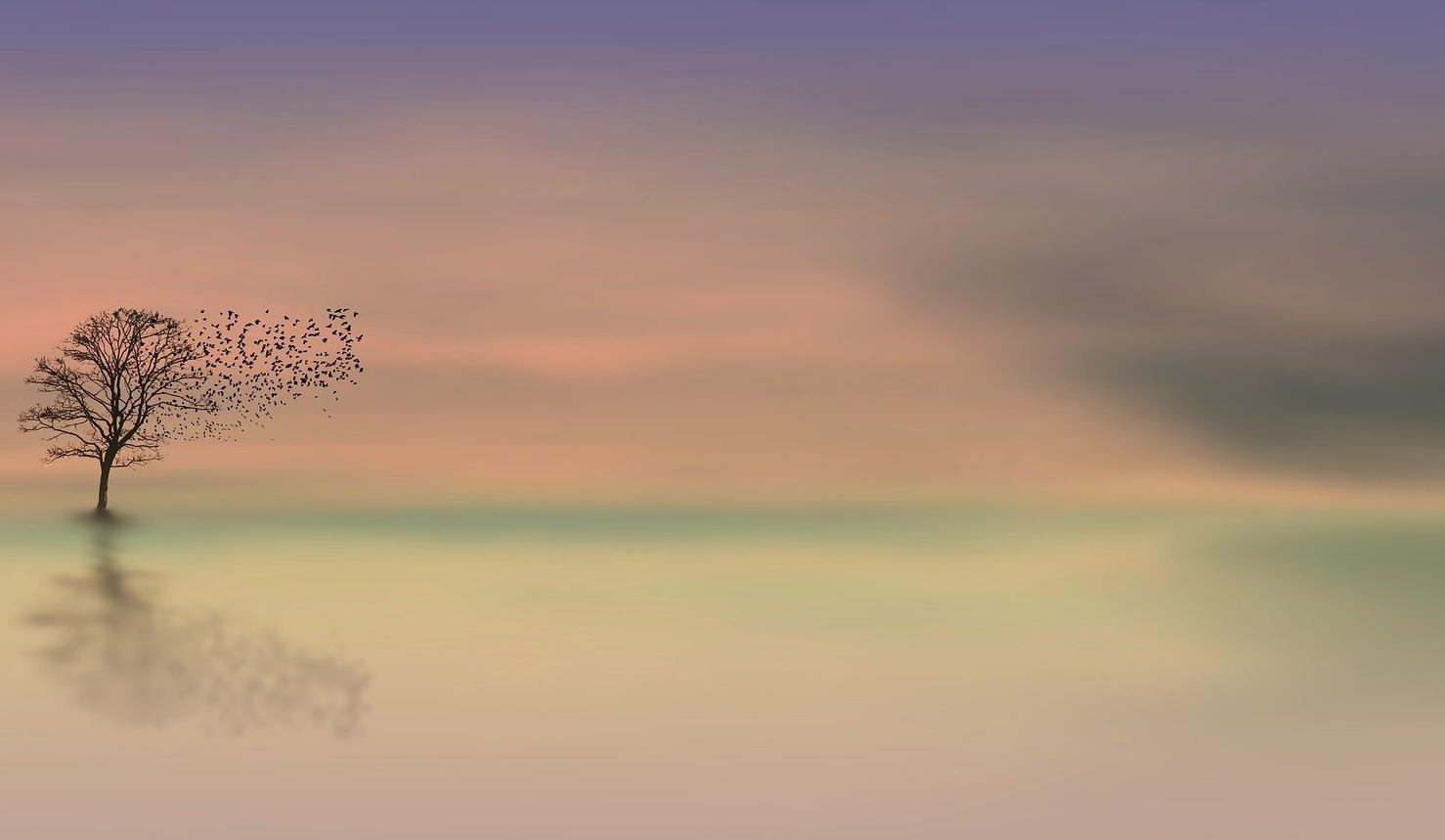 Eva67132's profile banner image