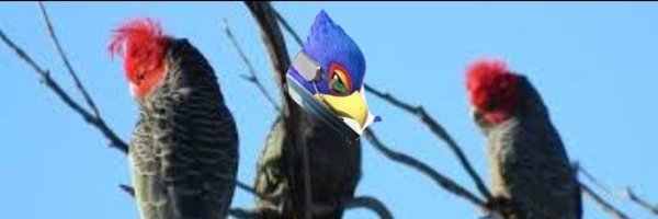 ChefSaifff Profile Banner