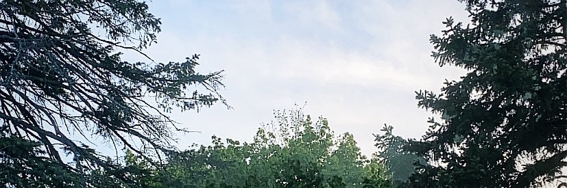 JasmineVariam's profile banner image
