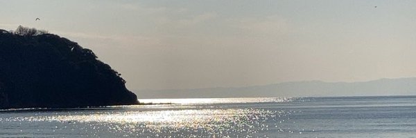 _worururu Profile Banner