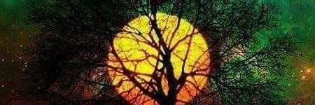lemke_beth's profile banner image
