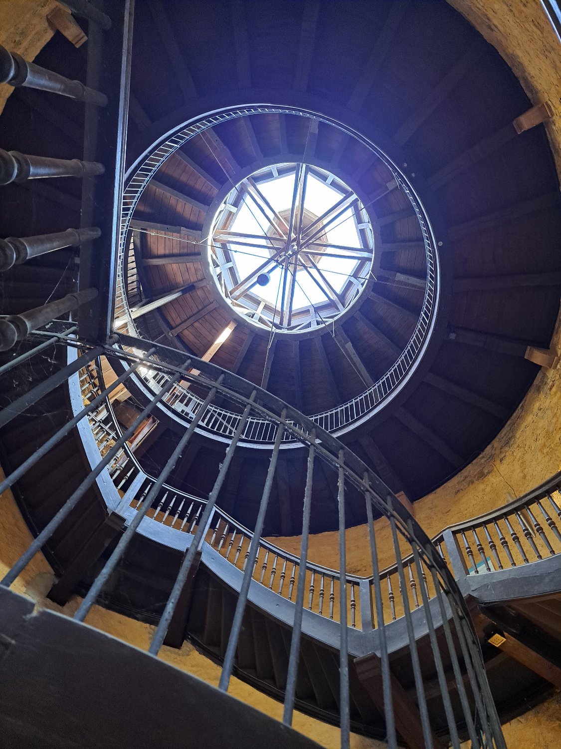 Catherine Herfeld banner