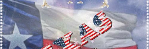 American Patriot banner