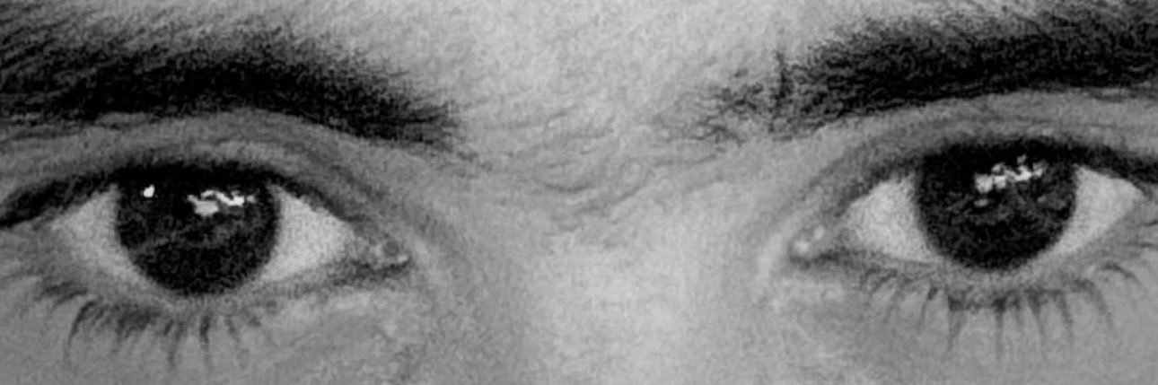 ilvecheno's profile banner image
