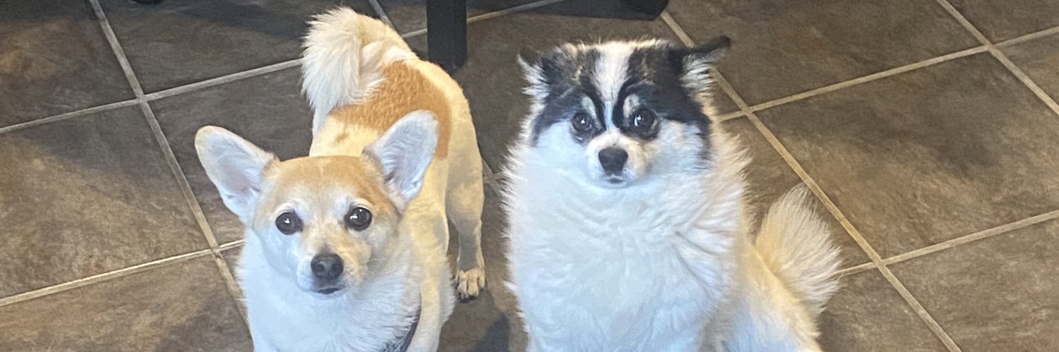 Skoobydoo206's profile banner image