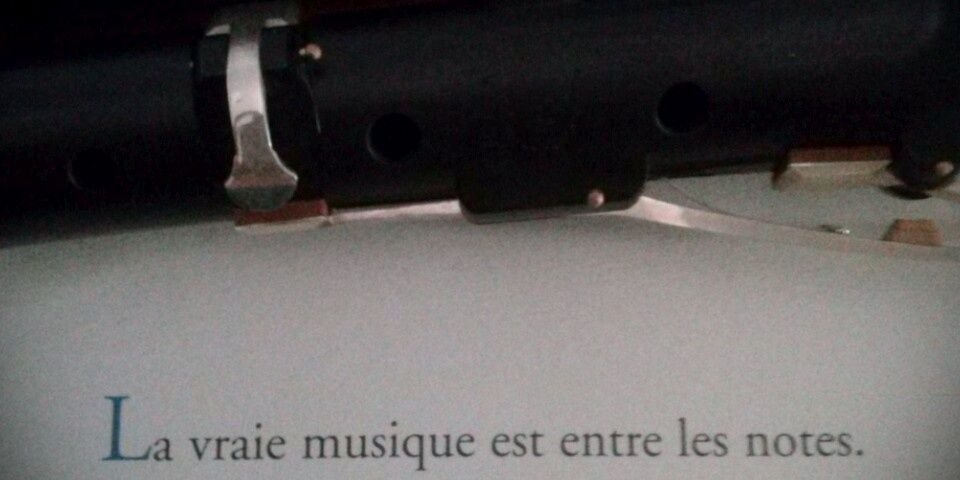 Teresa Galceran banner