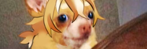 Miri🕊㍉ @ gym bro arc banner