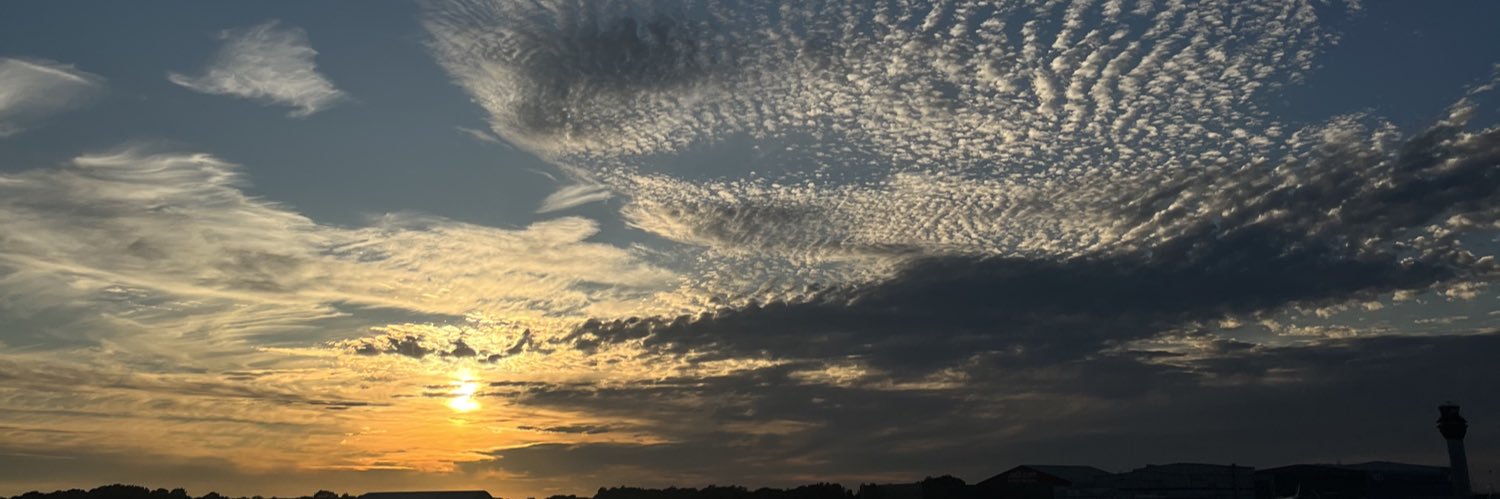Emsmccarroll's profile banner image