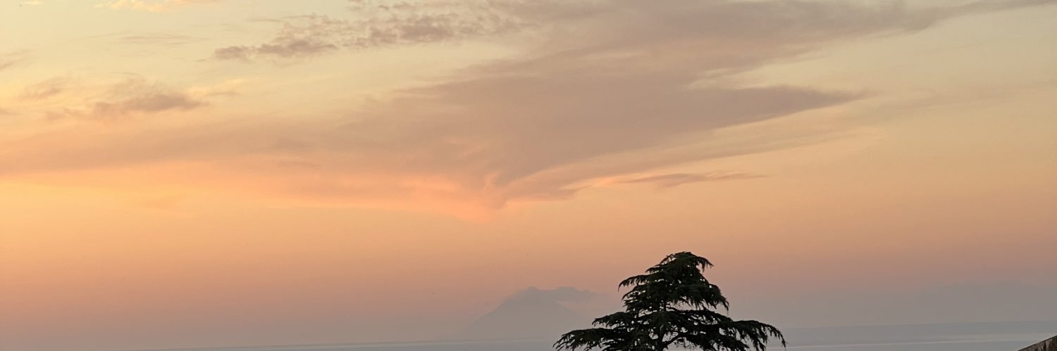 paco banner
