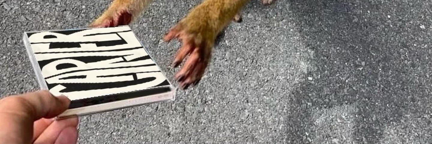 CARVER COMMODORE banner