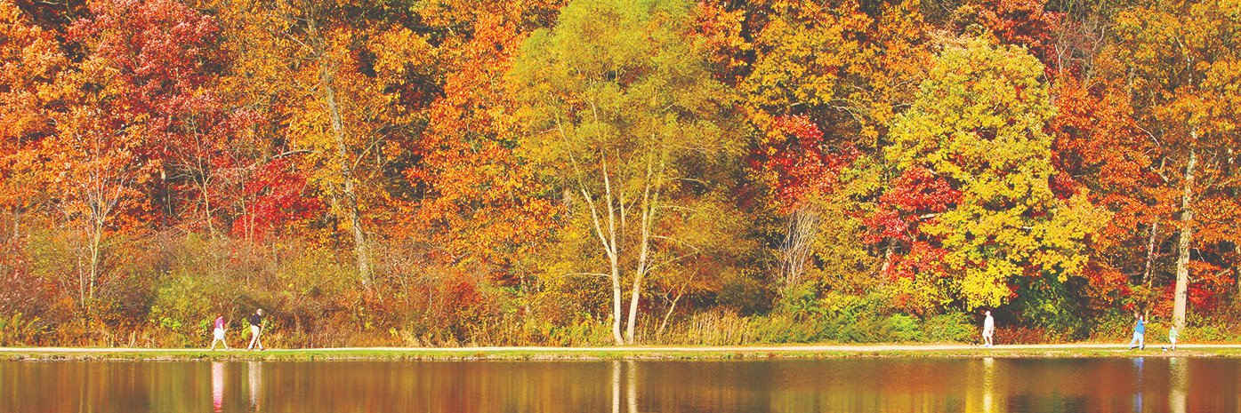 County Executive Ilene Shapiro banner